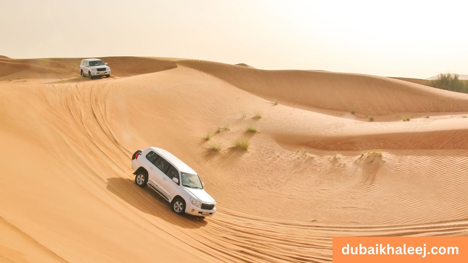 How Many Passengers Allowed in Private Car in Dubai
