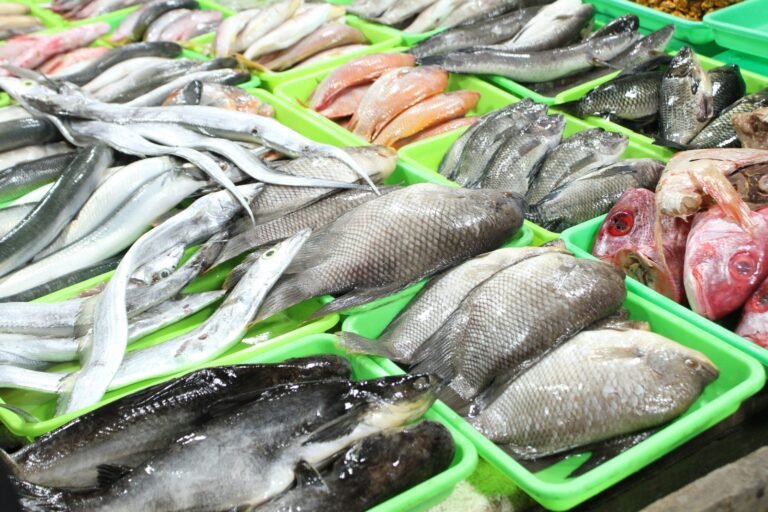 Explore Ajman Fish Market Near Dubai: Fresh Fish, Market Hours & Visitor Tips